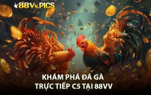 Khám phá đá gà trực tiếp C5 tại 88VV