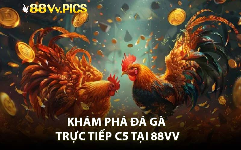 Khám phá đá gà trực tiếp C5 tại 88VV