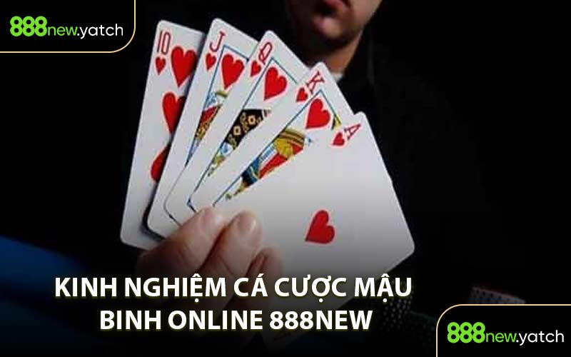 Kinh nghiệm cá cược Mậu Binh online 888NEW