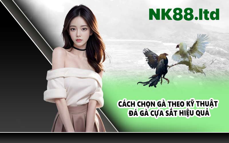 Cách chọn gà theo kỹ thuật đá gà cựa sắt hiệu quả